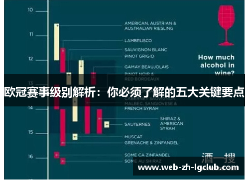 欧冠赛事级别解析：你必须了解的五大关键要点